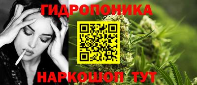 тгк Славгород