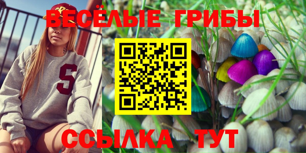Назрань  Псилоцибиновые грибы Psilocybe  Галлюциногенные грибы Psilocybe  цены наркотик  Вход с VPN 