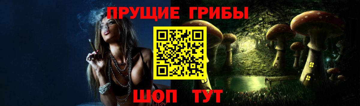 Галлюциногенные грибы Psilocybine cubensis Назрань